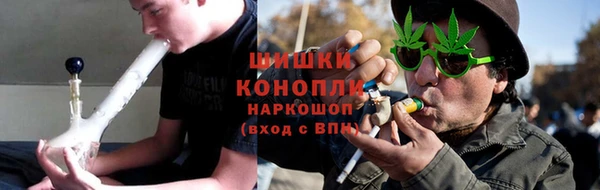 a pvp Новозыбков