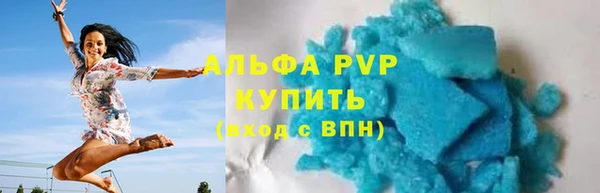 a pvp Новозыбков