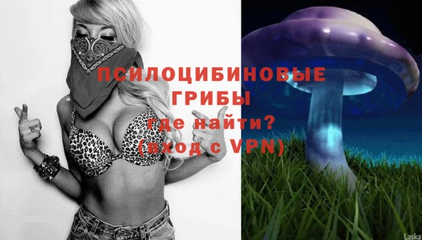 таблы Новокубанск