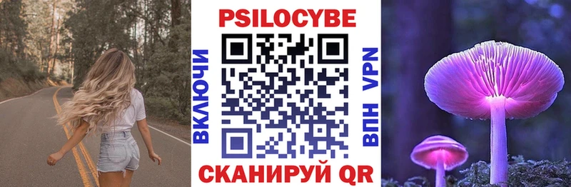 Галлюциногенные грибы Psilocybine cubensis  магазин продажи наркотиков  Лысково 